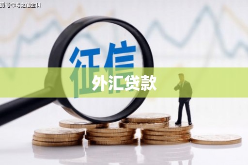 盐田外汇贷款