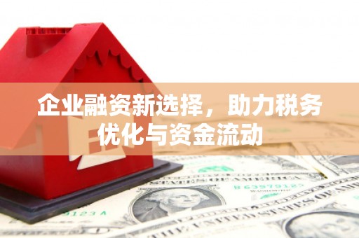 西丰企业融资新选择，助力税务优化与资金流动