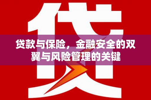 长寿贷款与保险，金融安全的双翼与风险管理的关键