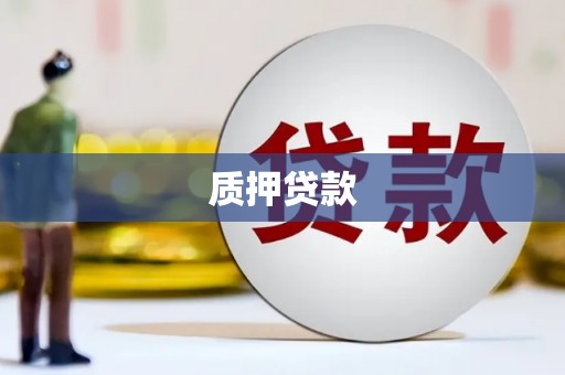 太和质押贷款