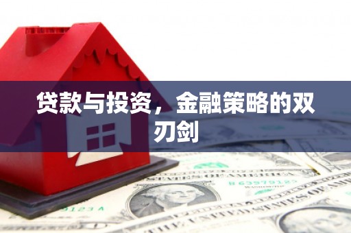 洪雅贷款与投资，金融策略的双刃剑