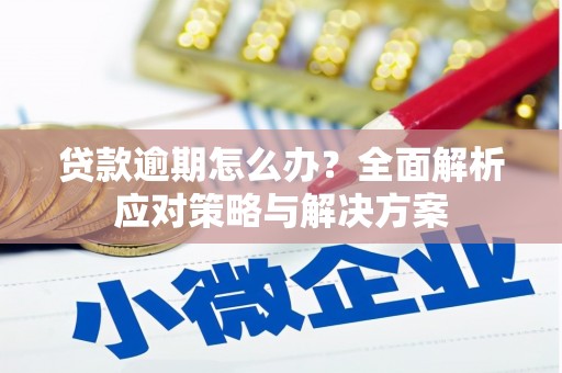 天元贷款逾期怎么办？全面解析应对策略与解决方案