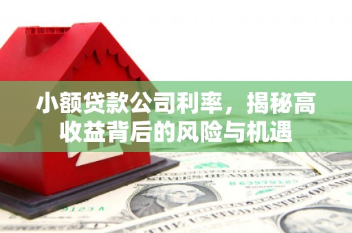 阿巴嘎旗小额贷款公司利率，揭秘高收益背后的风险与机遇