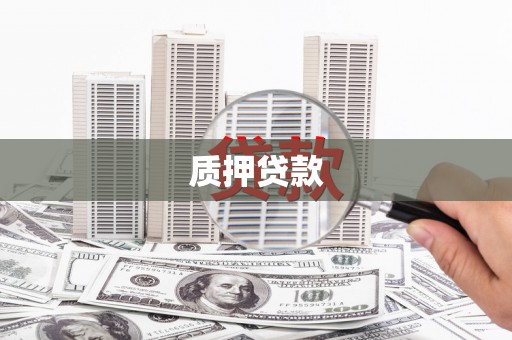 武清质押贷款