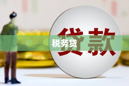 万全税务贷
