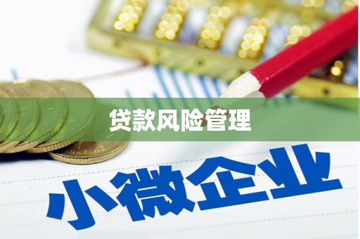 禄丰贷款风险管理
