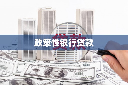 芷江政策性银行贷款