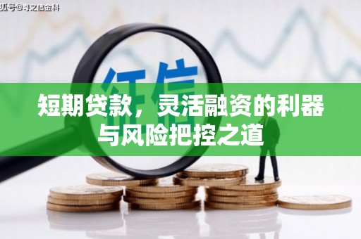 沁源短期贷款，灵活融资的利器与风险把控之道