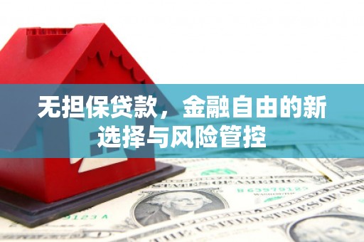 崇仁无担保贷款，金融自由的新选择与风险管控
