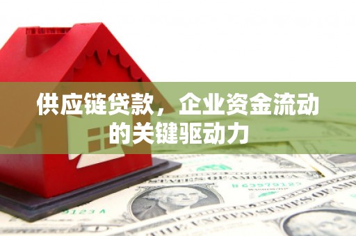 六横供应链贷款，企业资金流动的关键驱动力