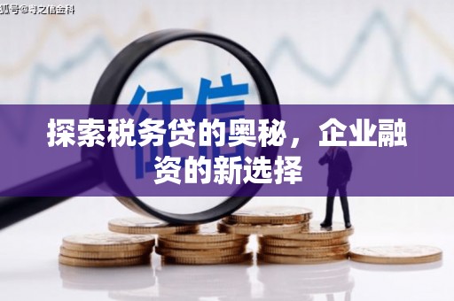 左营探索税务贷的奥秘，企业融资的新选择