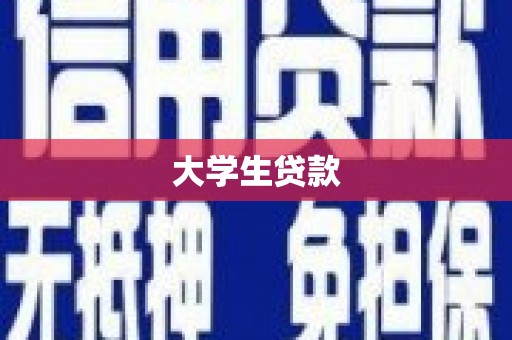 岱岳大学生贷款