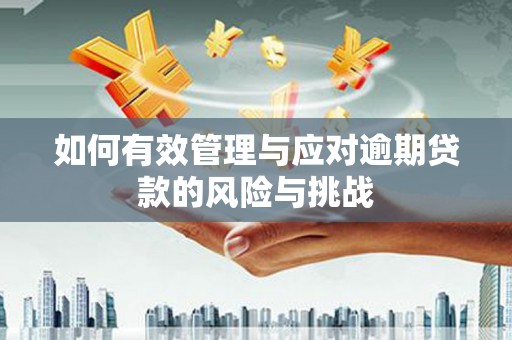 于田如何有效管理与应对逾期贷款的风险与挑战