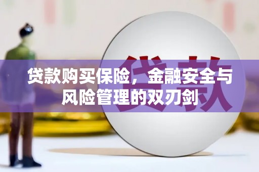 新蔡贷款购买保险，金融安全与风险管理的双刃剑