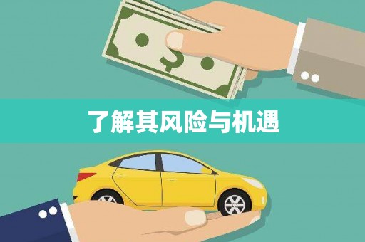 阳朔了解其风险与机遇