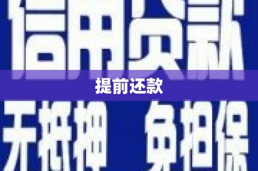 阜康提前还款