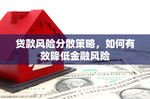 前进贷款风险分散策略，如何有效降低金融风险