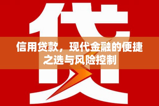 舟山新区信用贷款，现代金融的便捷之选与风险控制