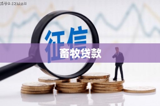景东畜牧贷款