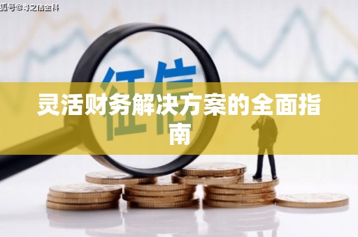 磐安灵活财务解决方案的全面指南