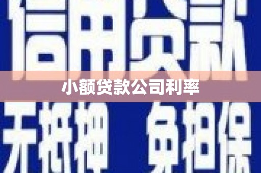 三民小额贷款公司利率