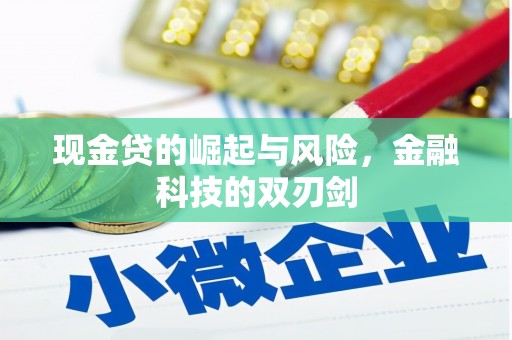 蒸湘现金贷的崛起与风险，金融科技的双刃剑