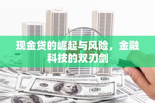 紫阳现金贷的崛起与风险，金融科技的双刃剑