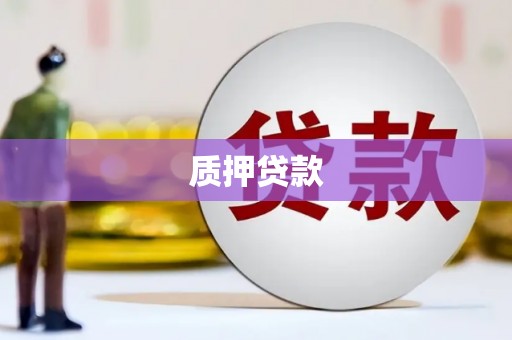 安康质押贷款