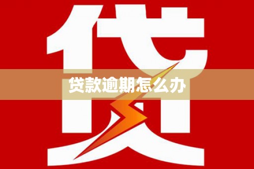 宛城贷款逾期怎么办