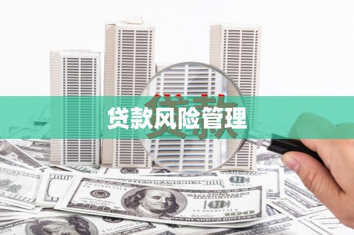 凤城贷款风险管理