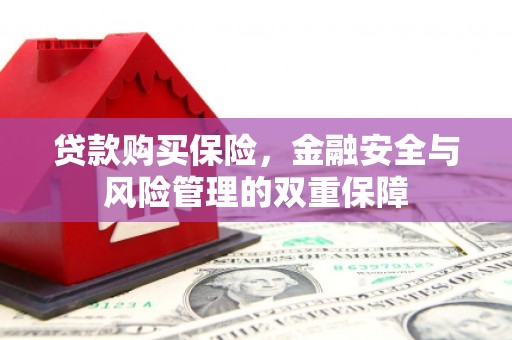 麦寮贷款购买保险，金融安全与风险管理的双重保障