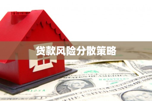 狮子贷款风险分散策略