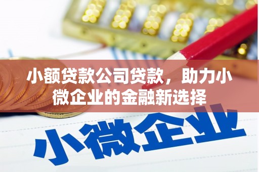 宝应小额贷款公司贷款，助力小微企业的金融新选择