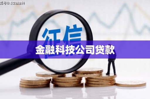 南郊金融科技公司贷款