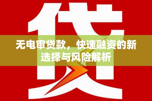 内埔无电审贷款，快速融资的新选择与风险解析