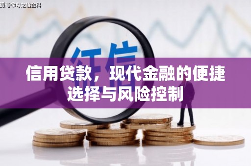 塘厦信用贷款，现代金融的便捷选择与风险控制