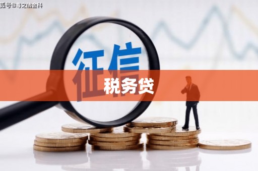 雁江税务贷