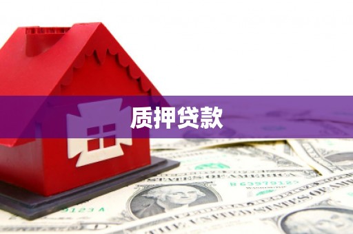富顺质押贷款