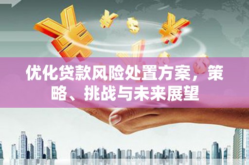 漠河优化贷款风险处置方案，策略、挑战与未来展望