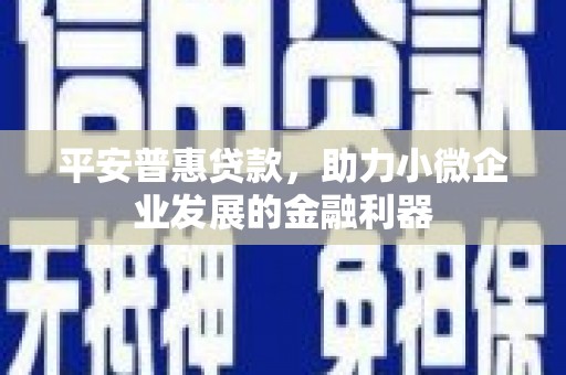 高碑店平安普惠贷款，助力小微企业发展的金融利器