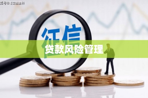 当涂贷款风险管理