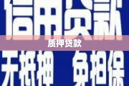 梁河质押贷款