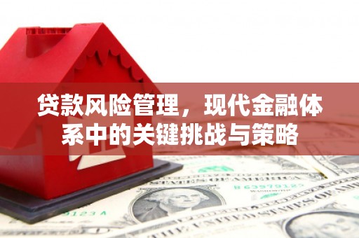 壮围贷款风险管理，现代金融体系中的关键挑战与策略