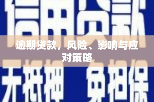 哈尔滨逾期贷款，风险、影响与应对策略