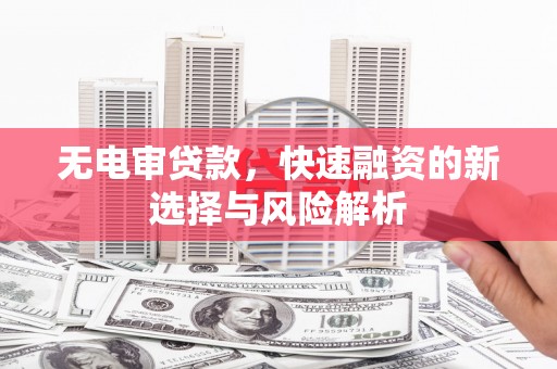 陵城无电审贷款，快速融资的新选择与风险解析
