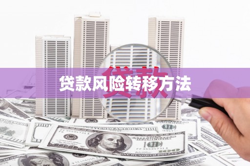 广河贷款风险转移方法