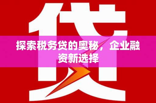 老河口探索税务贷的奥秘，企业融资新选择