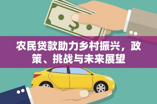 南阳农民贷款助力乡村振兴，政策、挑战与未来展望