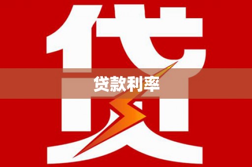 新园贷款利率