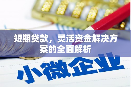 甘洛短期贷款，灵活资金解决方案的全面解析